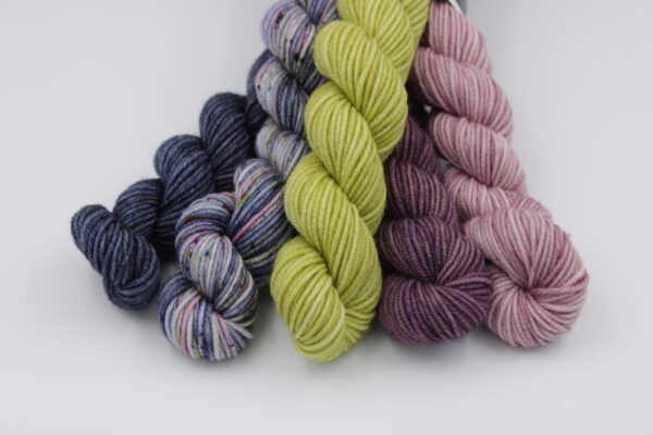 Kit prêt à tricoter de bas de laine coloris: Janvier