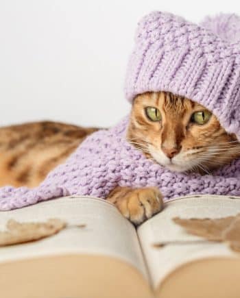 Lire un patron de tricot, vous serez en mesure de lire un patron de tricot à la fin de cet atelier.